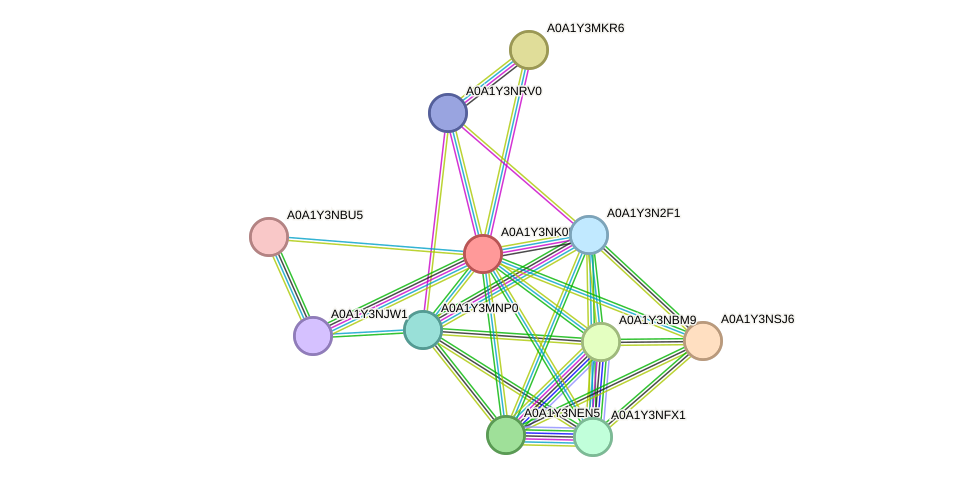 STRING protein interaction network