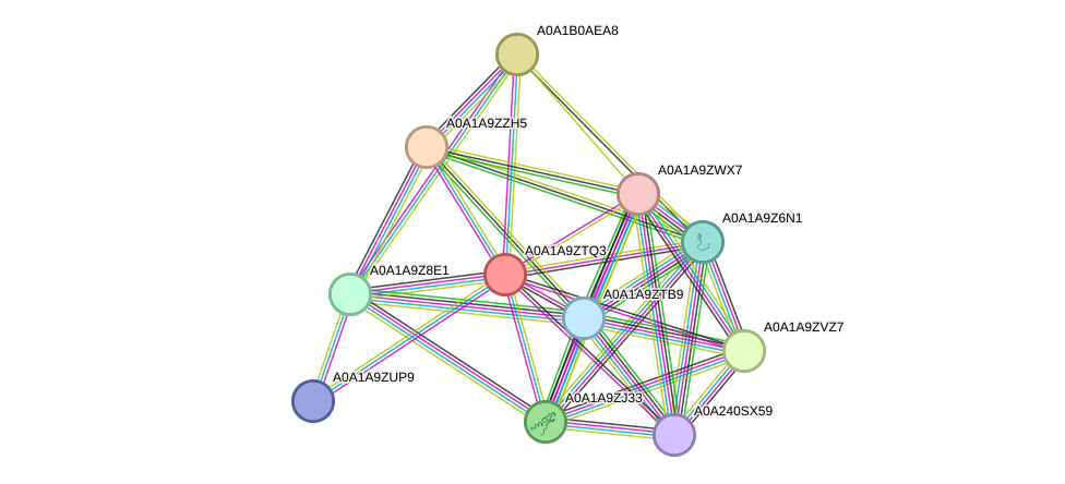 STRING protein interaction network