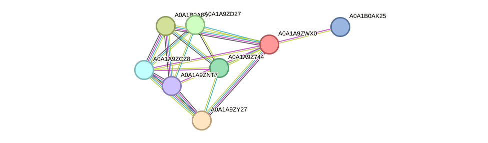 STRING protein interaction network