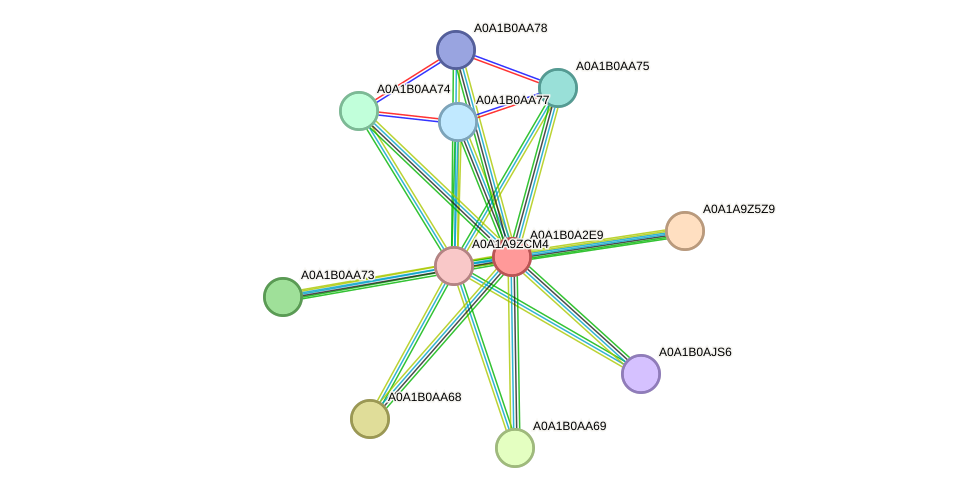 STRING protein interaction network