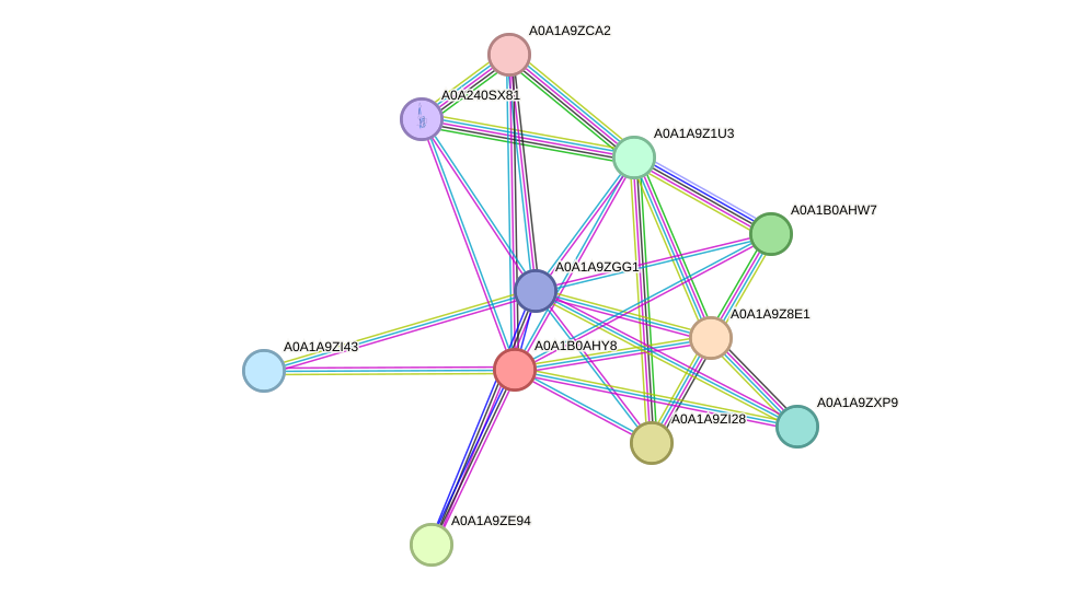 STRING protein interaction network