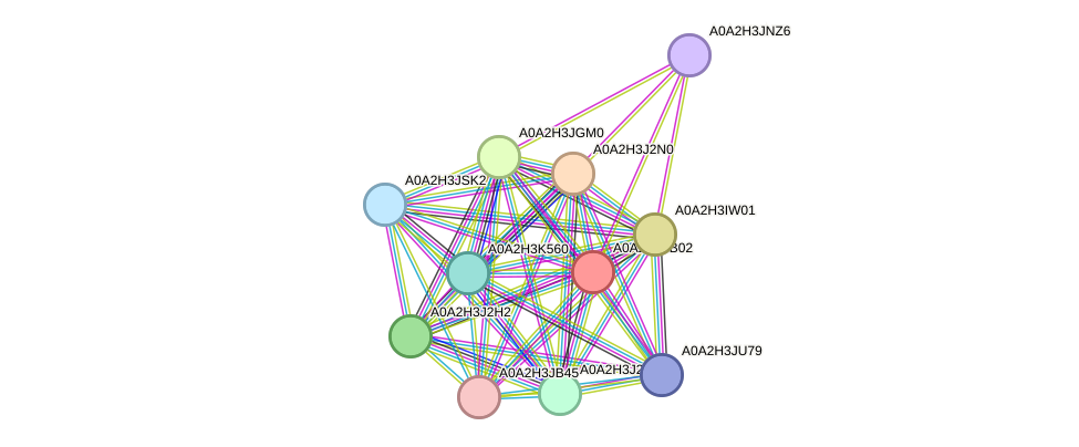 STRING protein interaction network
