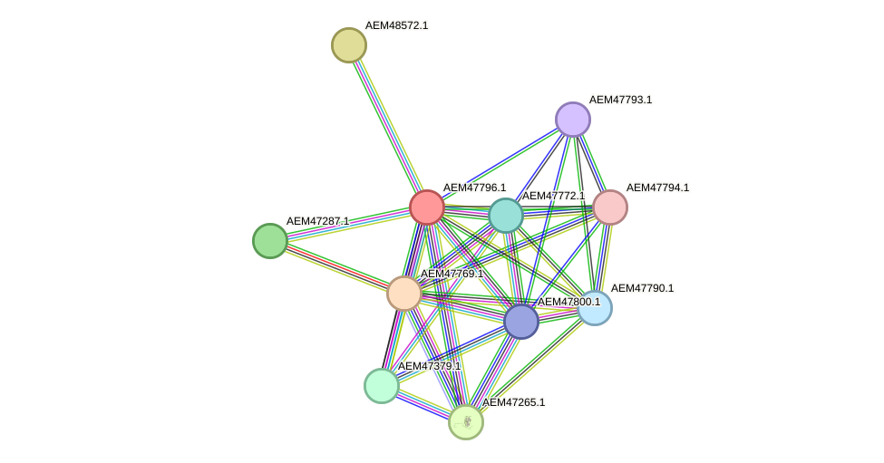 STRING protein interaction network