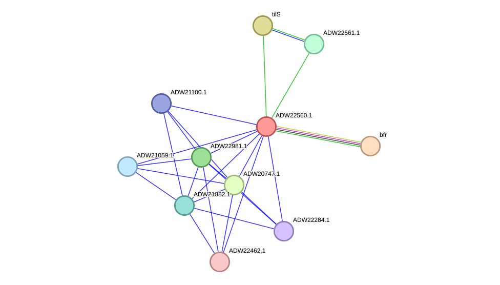 STRING protein interaction network