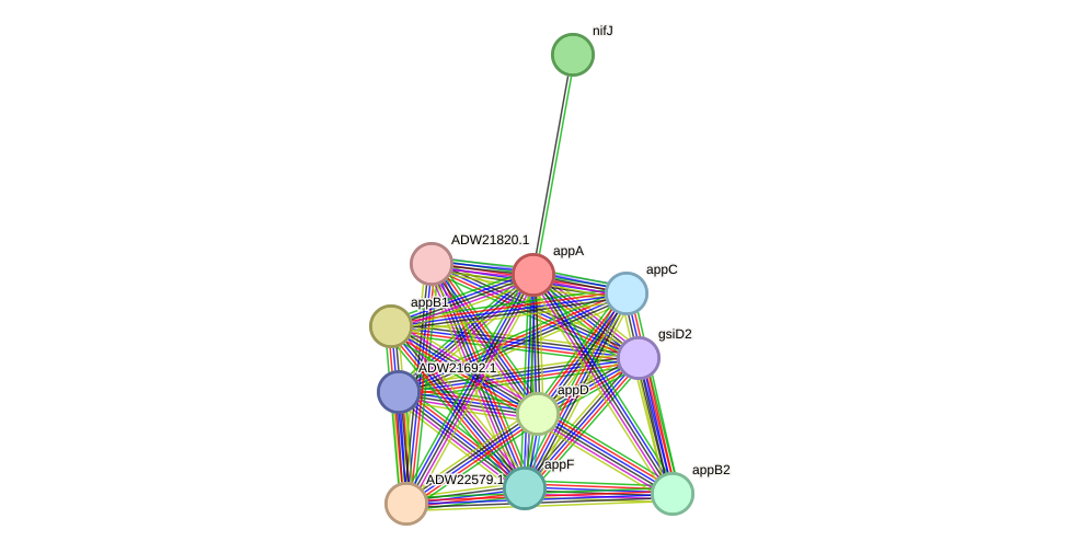 STRING protein interaction network