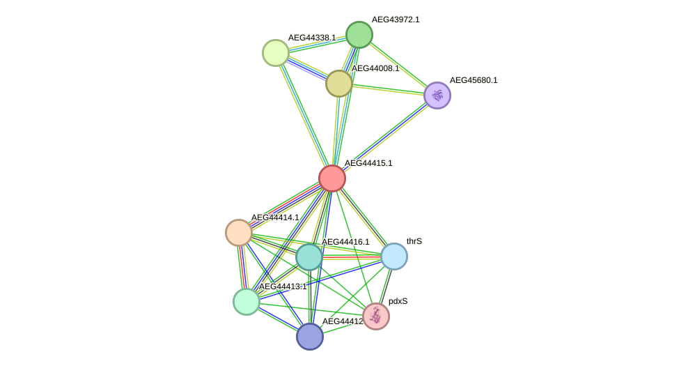 STRING protein interaction network