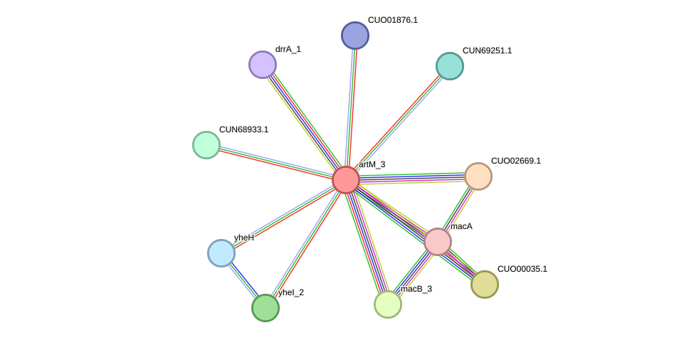 STRING protein interaction network