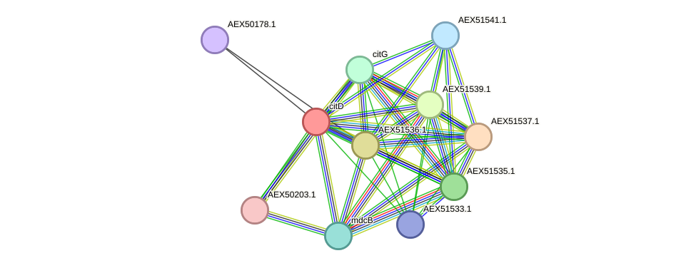 STRING protein interaction network