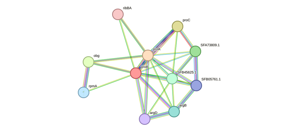 STRING protein interaction network