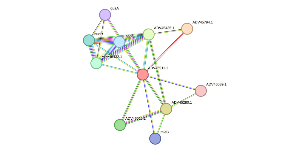 STRING protein interaction network