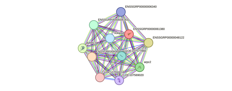 STRING protein interaction network