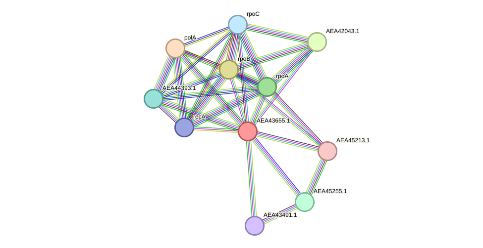 STRING protein interaction network