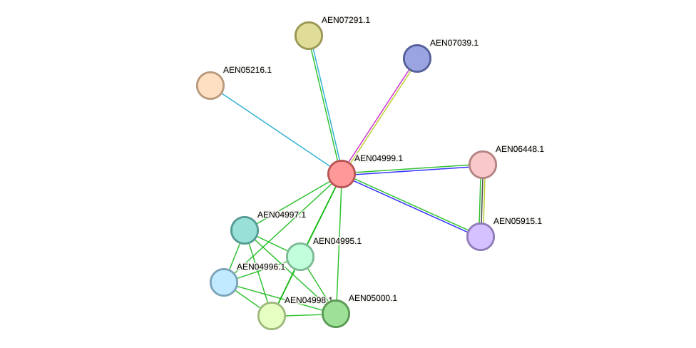 STRING protein interaction network