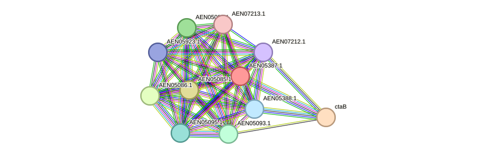 STRING protein interaction network