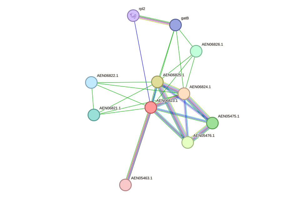 STRING protein interaction network