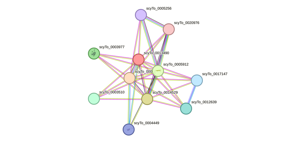 STRING protein interaction network