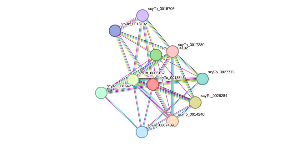 STRING protein interaction network