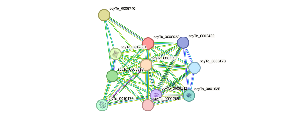 STRING protein interaction network