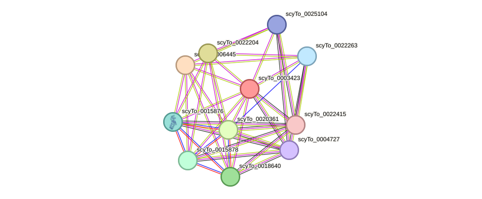 STRING protein interaction network