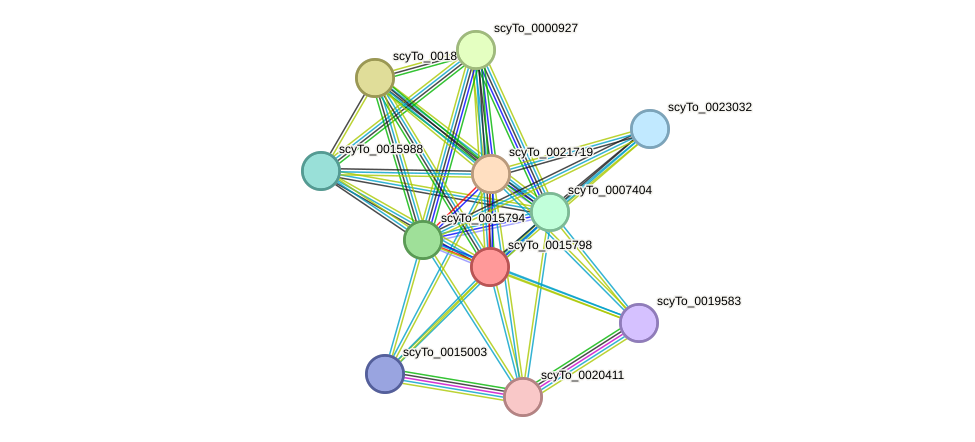 STRING protein interaction network