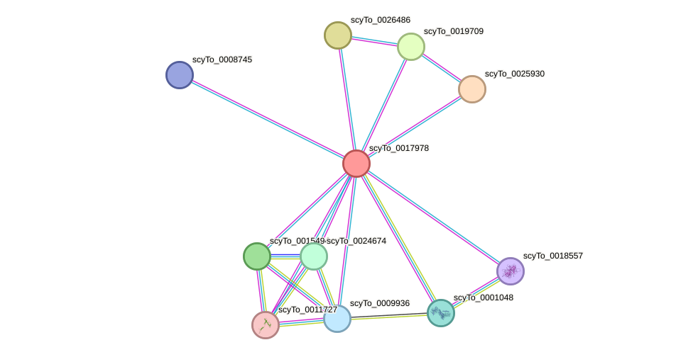 STRING protein interaction network