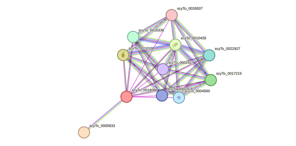 STRING protein interaction network