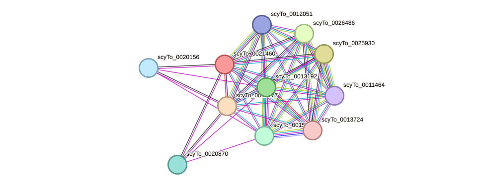 STRING protein interaction network