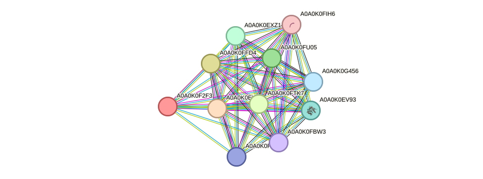 STRING protein interaction network