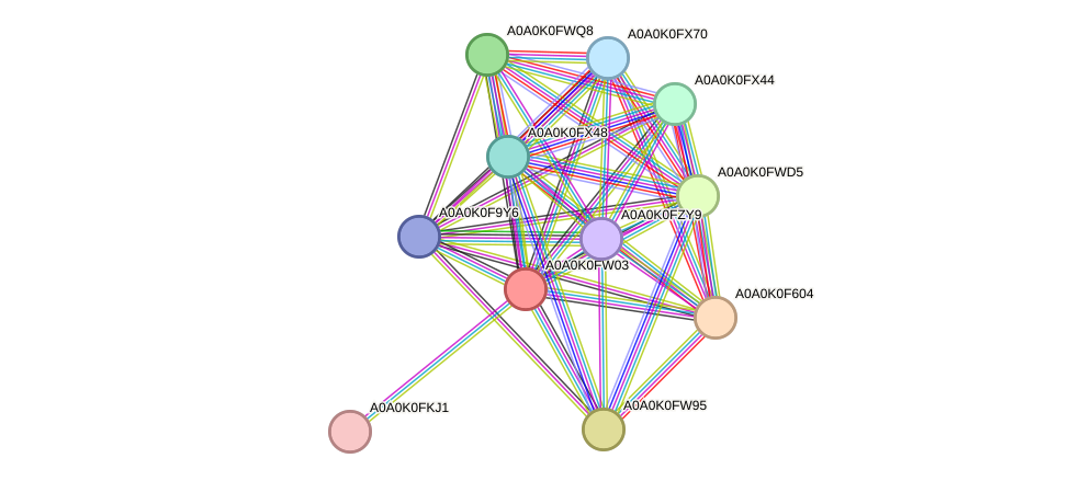 STRING protein interaction network