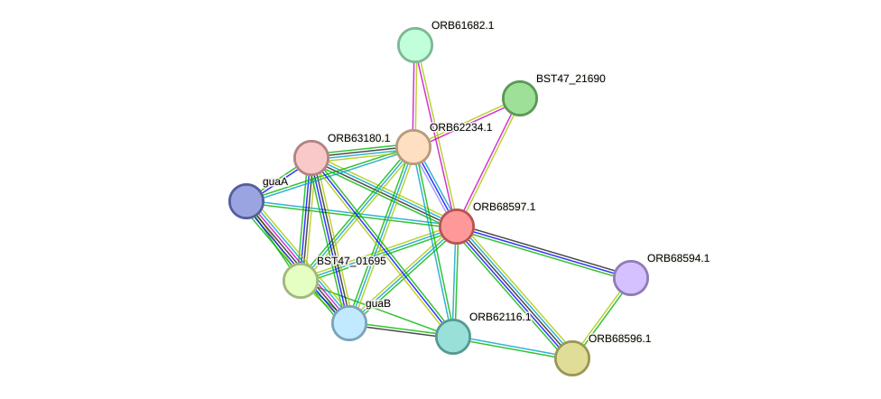 STRING protein interaction network