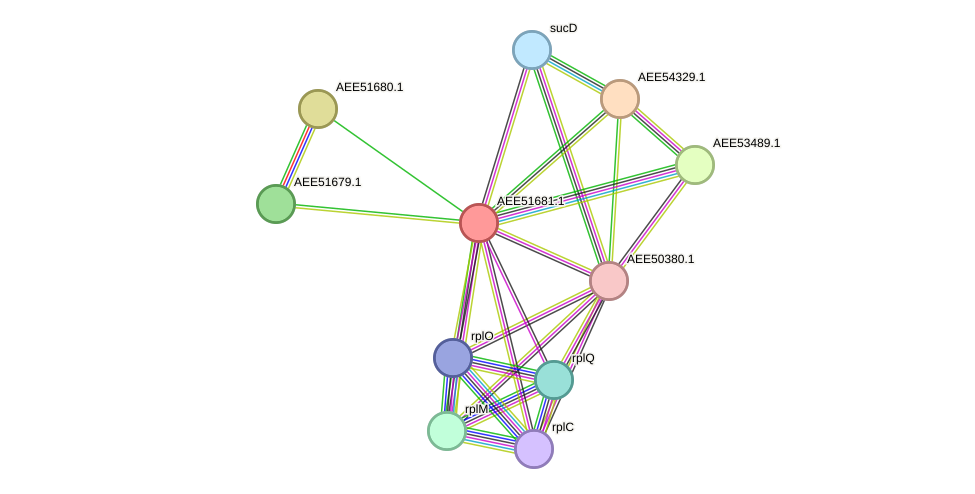 STRING protein interaction network