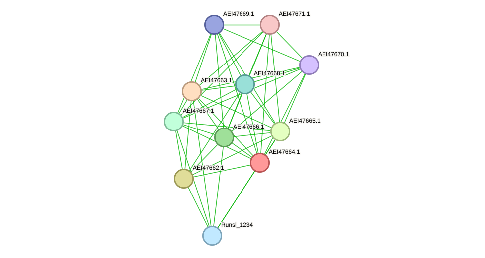 STRING protein interaction network