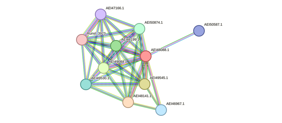 STRING protein interaction network