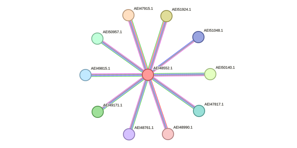 STRING protein interaction network