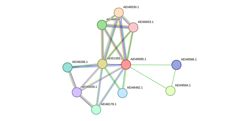 STRING protein interaction network