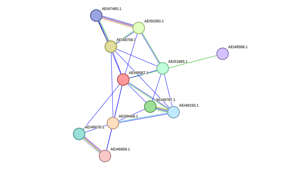 STRING protein interaction network