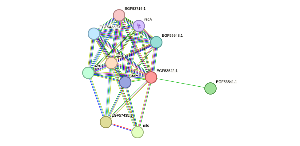 STRING protein interaction network