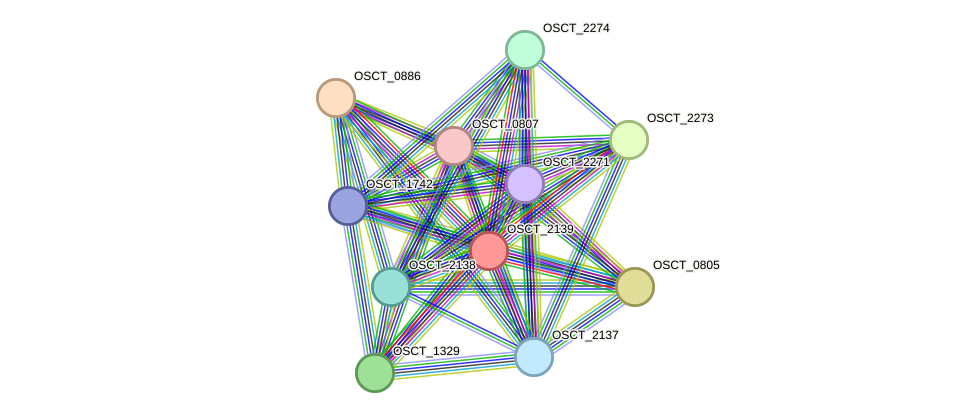 STRING protein interaction network