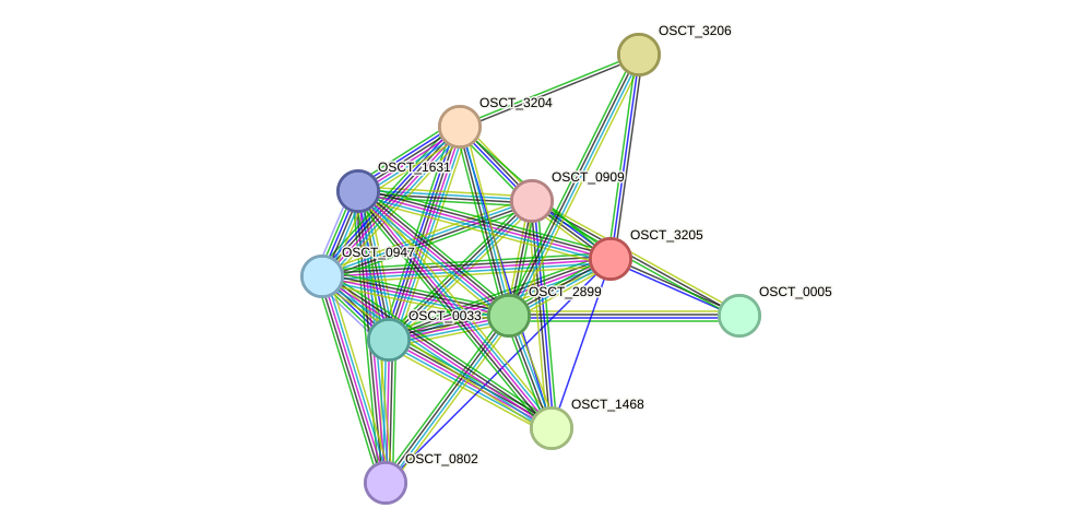 STRING protein interaction network