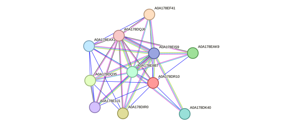 STRING protein interaction network