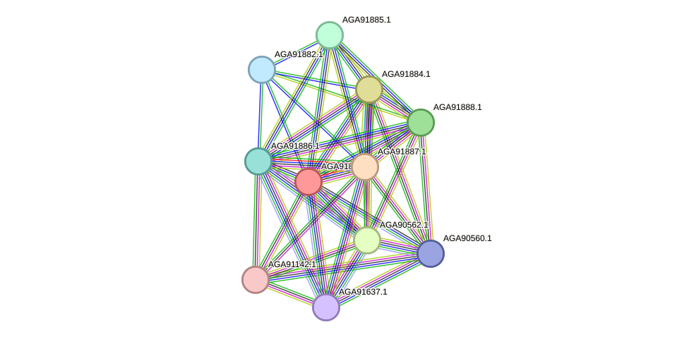 STRING protein interaction network