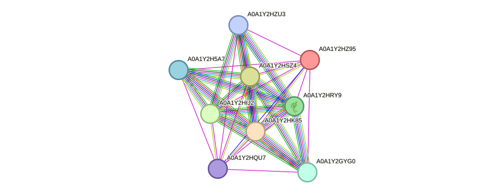 STRING protein interaction network