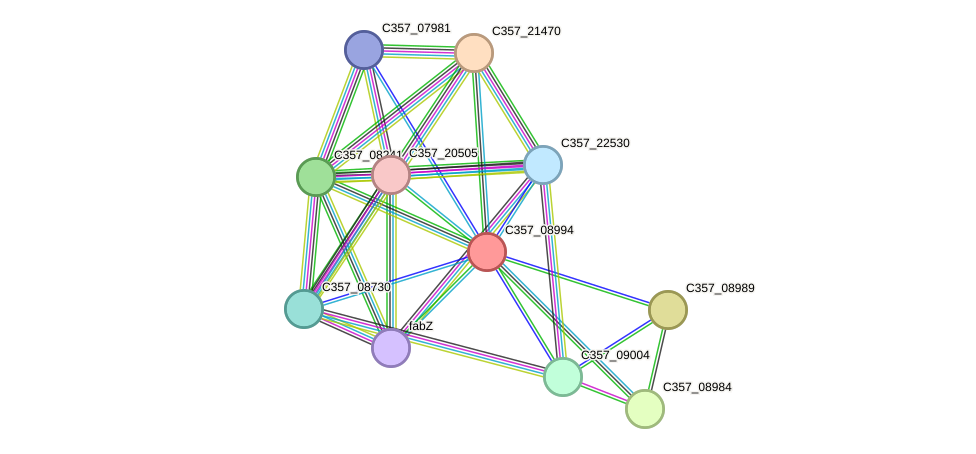 STRING protein interaction network