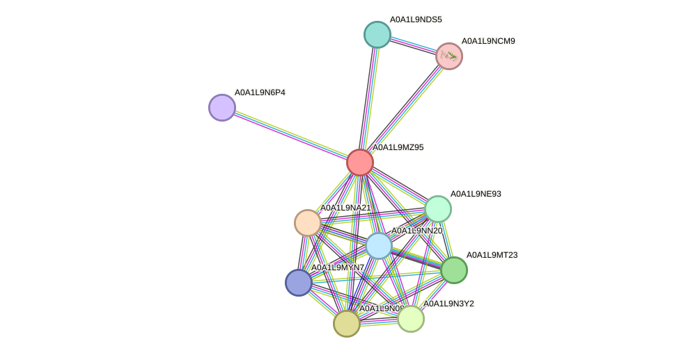 STRING protein interaction network