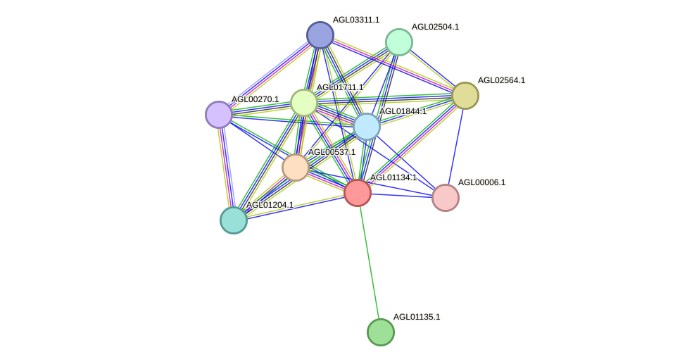 STRING protein interaction network