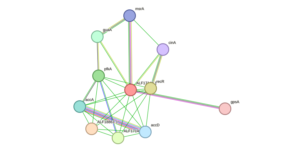 STRING protein interaction network