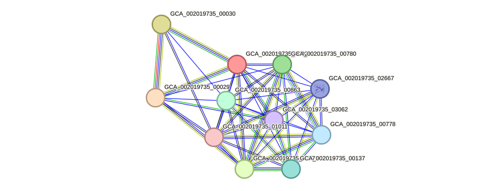 STRING protein interaction network