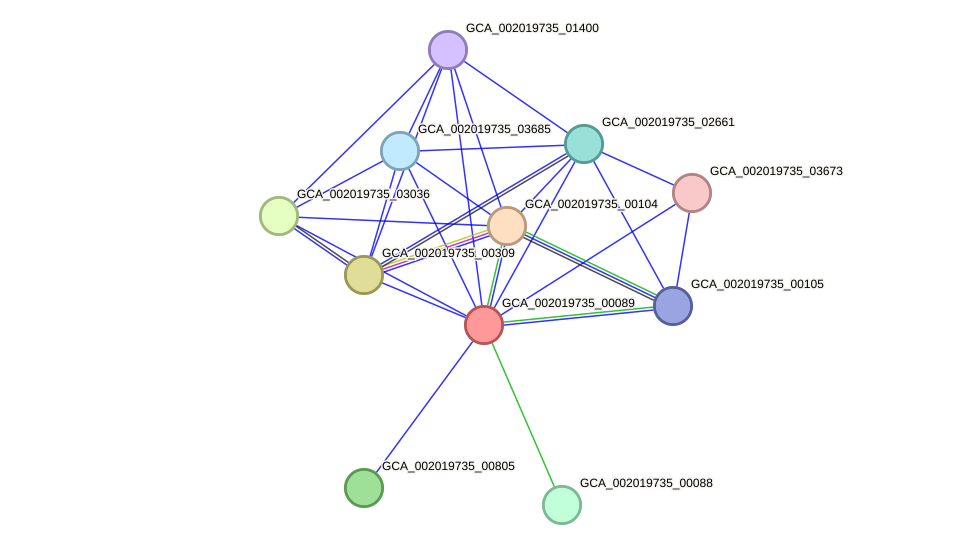 STRING protein interaction network