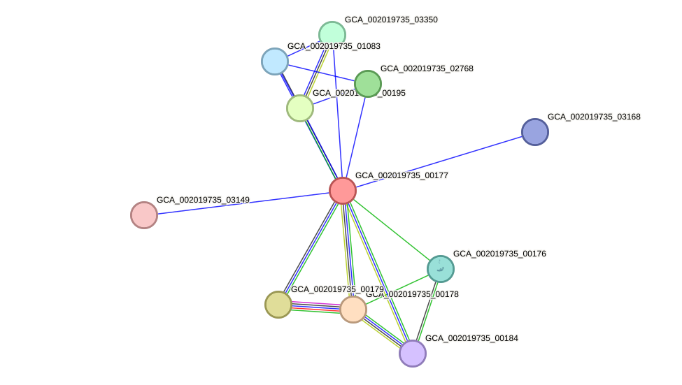 STRING protein interaction network