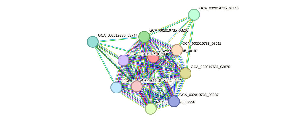 STRING protein interaction network